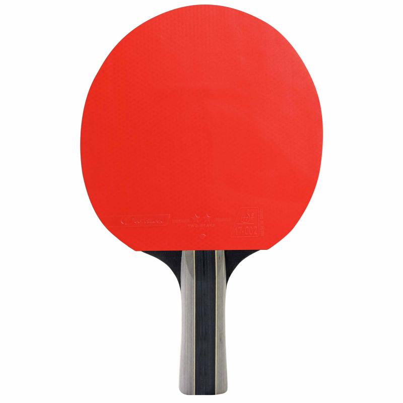 Set 2 palete Cornilleau Duo